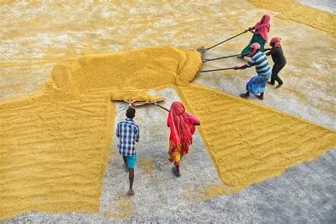 Premier Textiles Energy Modernization